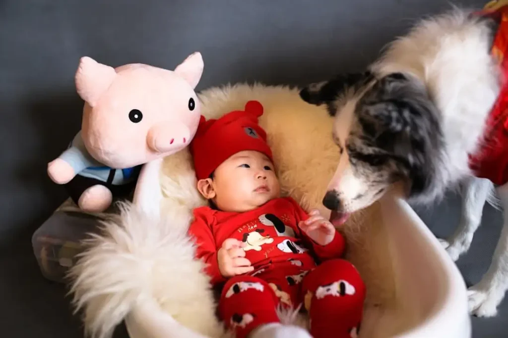 From Pets to Siblings: Helping Your Furry Friend Adjust to a New Baby 5 Dogs and new Baby From Pets to Siblings: Helping Your Furry Friend Adjust to a New Baby