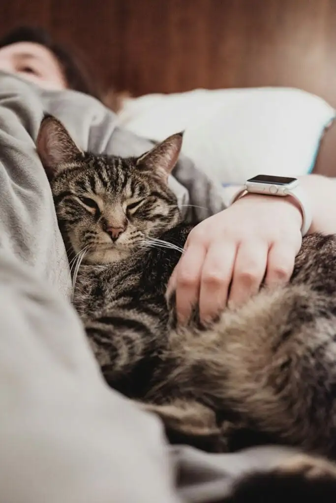 10 Benefits of Hiring an In Home Pet Sitter 4 Pet Sitter Benefits 10 Benefits of Hiring an In Home Pet Sitter