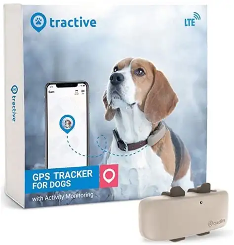 Pet Trackers Guide 1 The Ultimate Guide to Pet Trackers: Keeping Tabs on Your Furry Friends