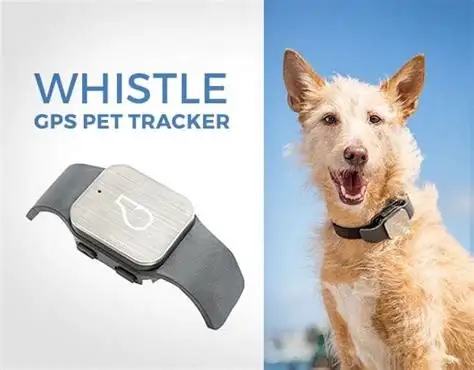 Pet Trackers