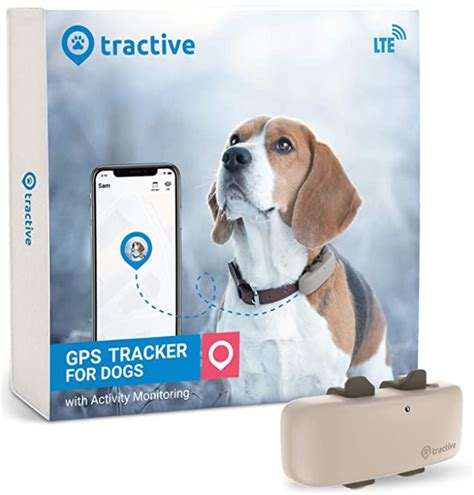 t81sdgad The Ultimate Guide to Pet Trackers: Keeping Tabs on Your Furry Friends