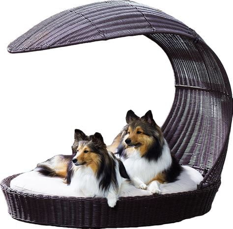 The Refined Canine, Outdoor Dog Chaise Lounger, Large, Espresso ...