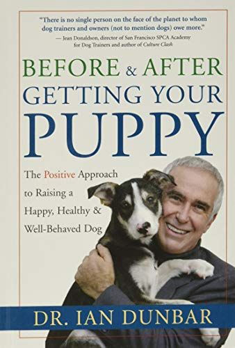 1577314557.01. SCLZZZZZZZ SX500 The Top 20 Dog Training Books for Every Dog Owner in 2023
