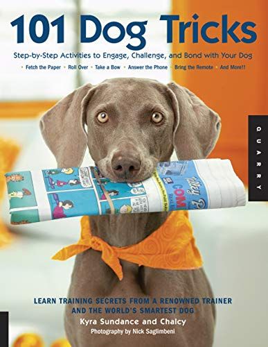 1592533256.01. SCLZZZZZZZ SX500 The Top 20 Dog Training Books for Every Dog Owner in 2023