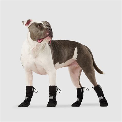 17 uhttps3A2F2Ftse1.mm .bing .net2Fth3Fid3DOIP Dog Booties: The Ultimate Guide for Your Canine Companion