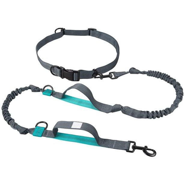 Taotronics dog leash