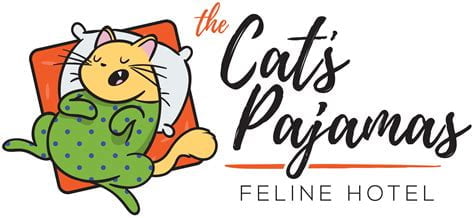 Dale - Gallery - The Cat's Pajamas Feline Hotel - Cat Hotel, Cat Boarding