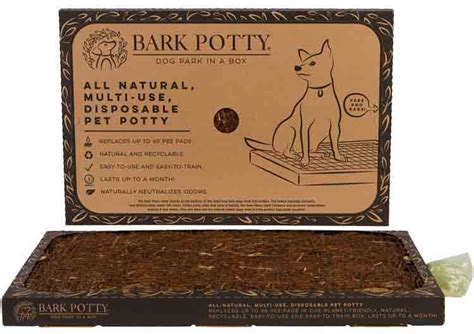 Bark Potty Reviews: Get All The Details At Hello Subscription!