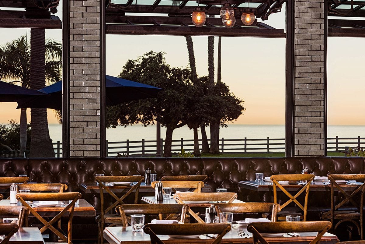 dog friendly restaurant