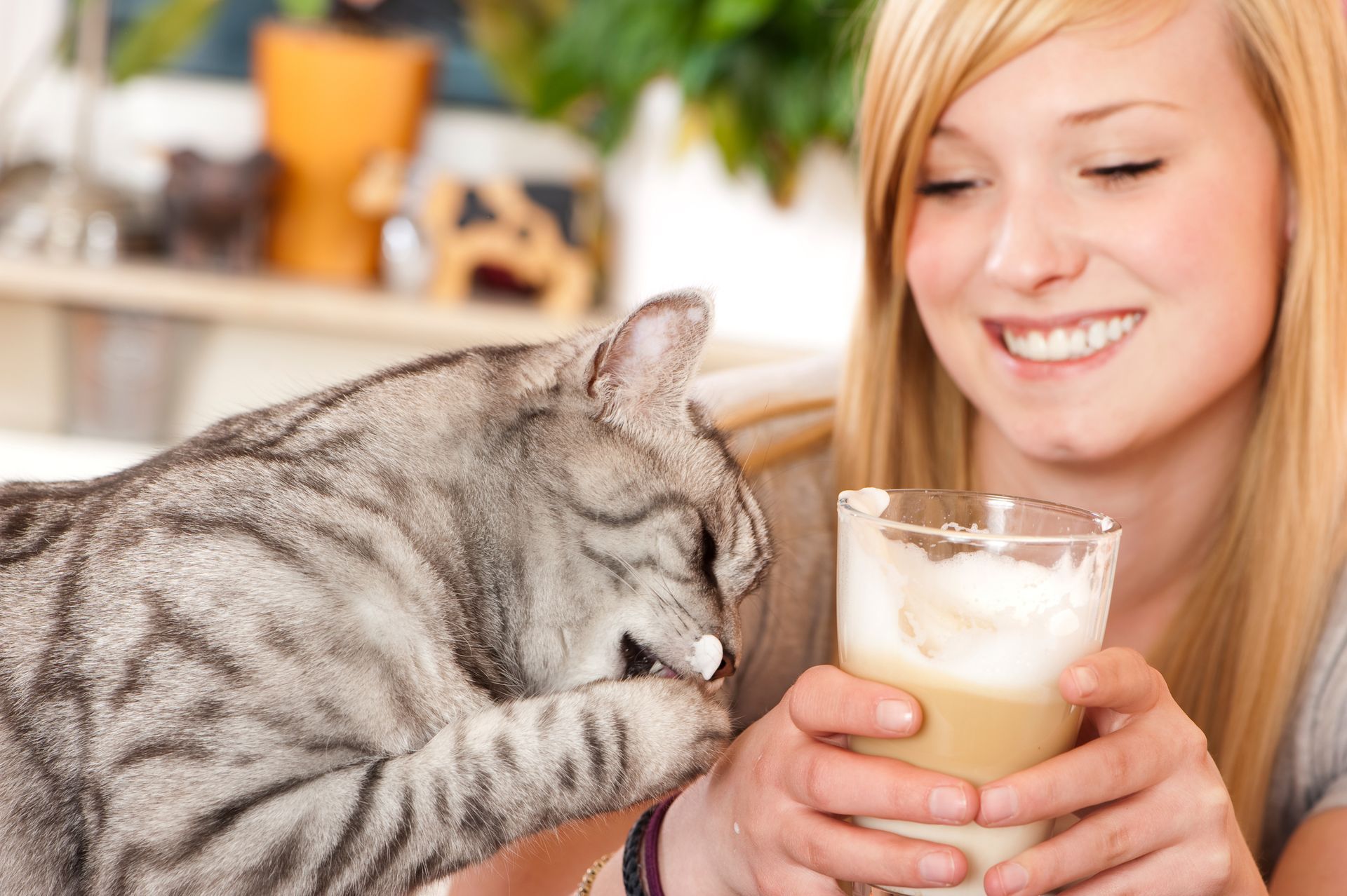 Understanding Cat Behavior: Essential Knowledge for Every Pet Sitter