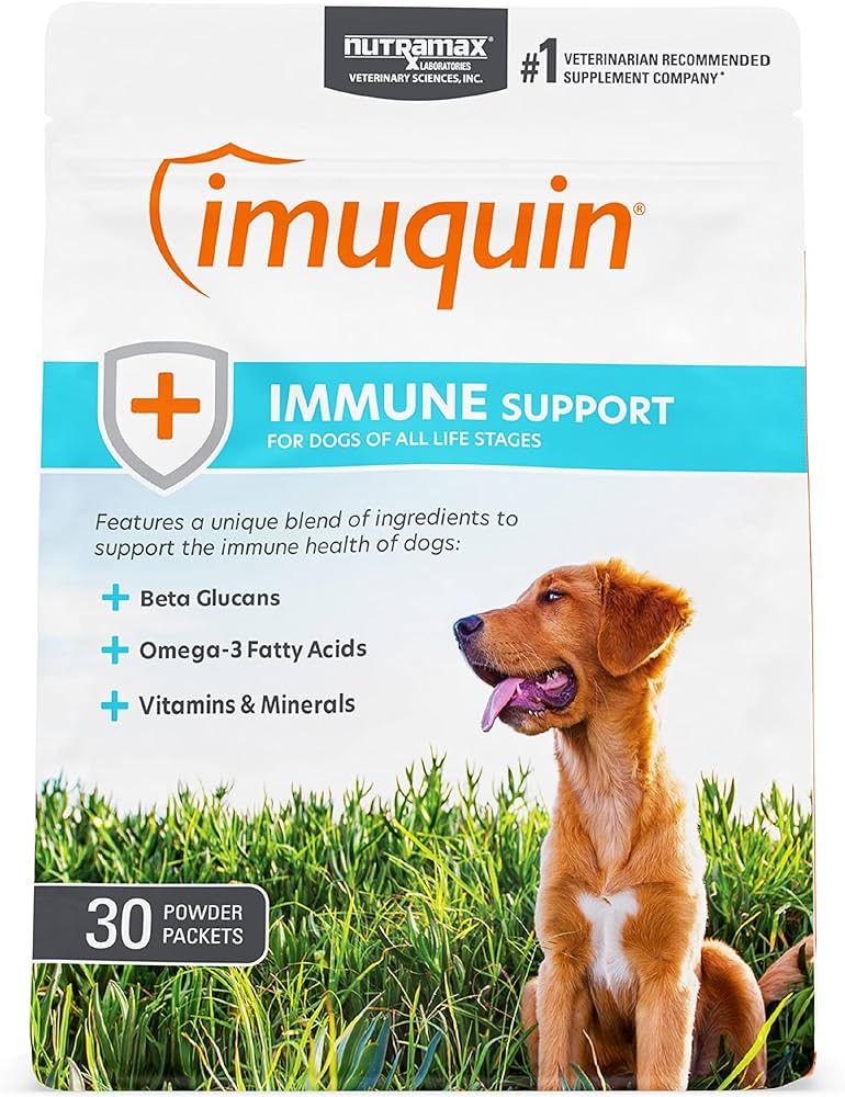 Amazon.com : Nutramax Imuquin Immune Health Supplement Powder for Dogs,  with Beta Glucans, Marine Lipids, Vitamins and Minerals, 30 Packets : Pet  Supplies