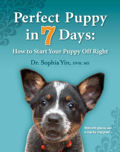B005FR0OEA.01. SCLZZZZZZZ SX500 The Top 20 Dog Training Books for Every Dog Owner in 2023