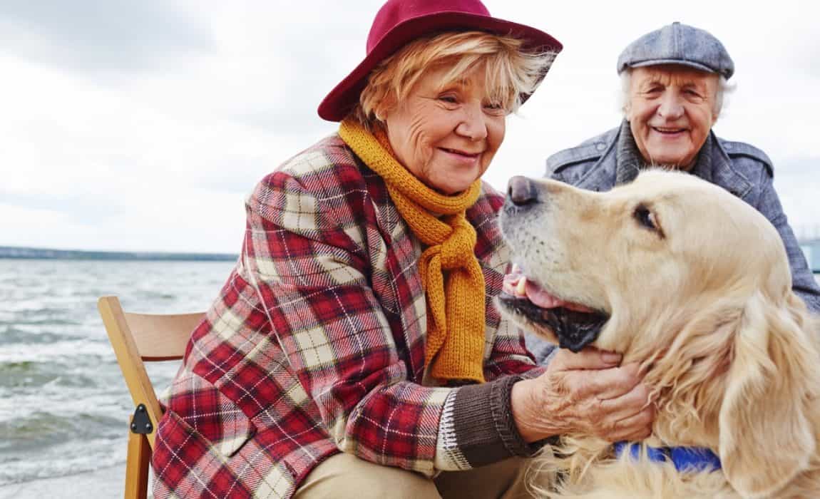12 Best Dogs for Seniors: Top Dogs for Seniors and Elderly Owners