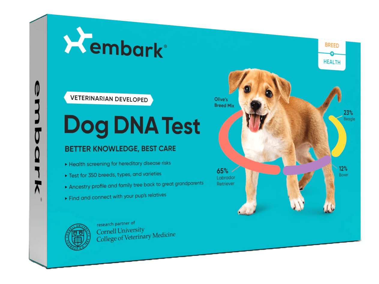 dna 30 no A Comprehensive Guide to Dog DNA Tests in 2023