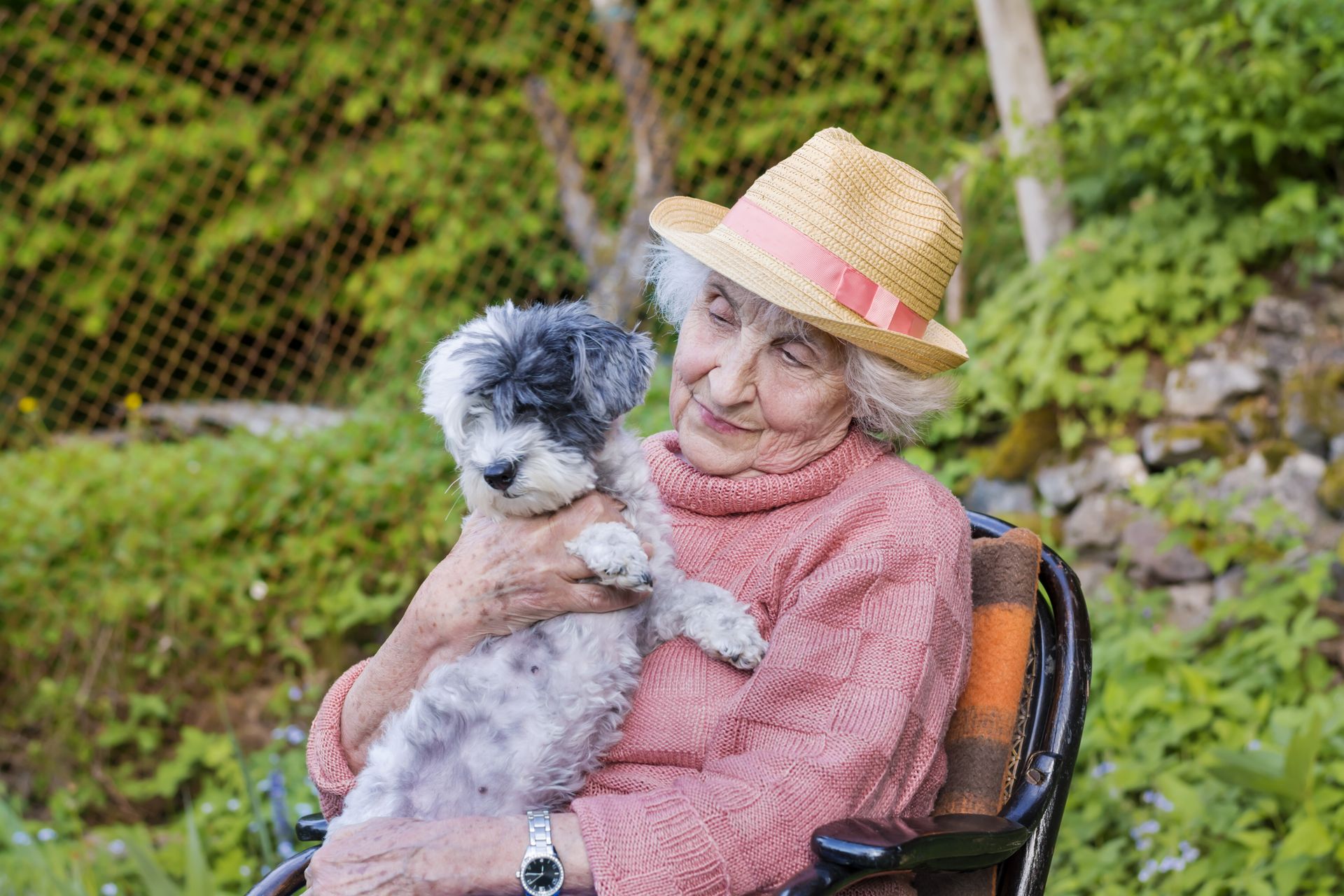 featured image The Benefits of Pet Therapy for Seniors
