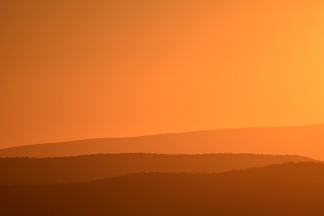 8 Dog-Friendly National Parks in the U.S. 2023 3 Shenandoah National Park