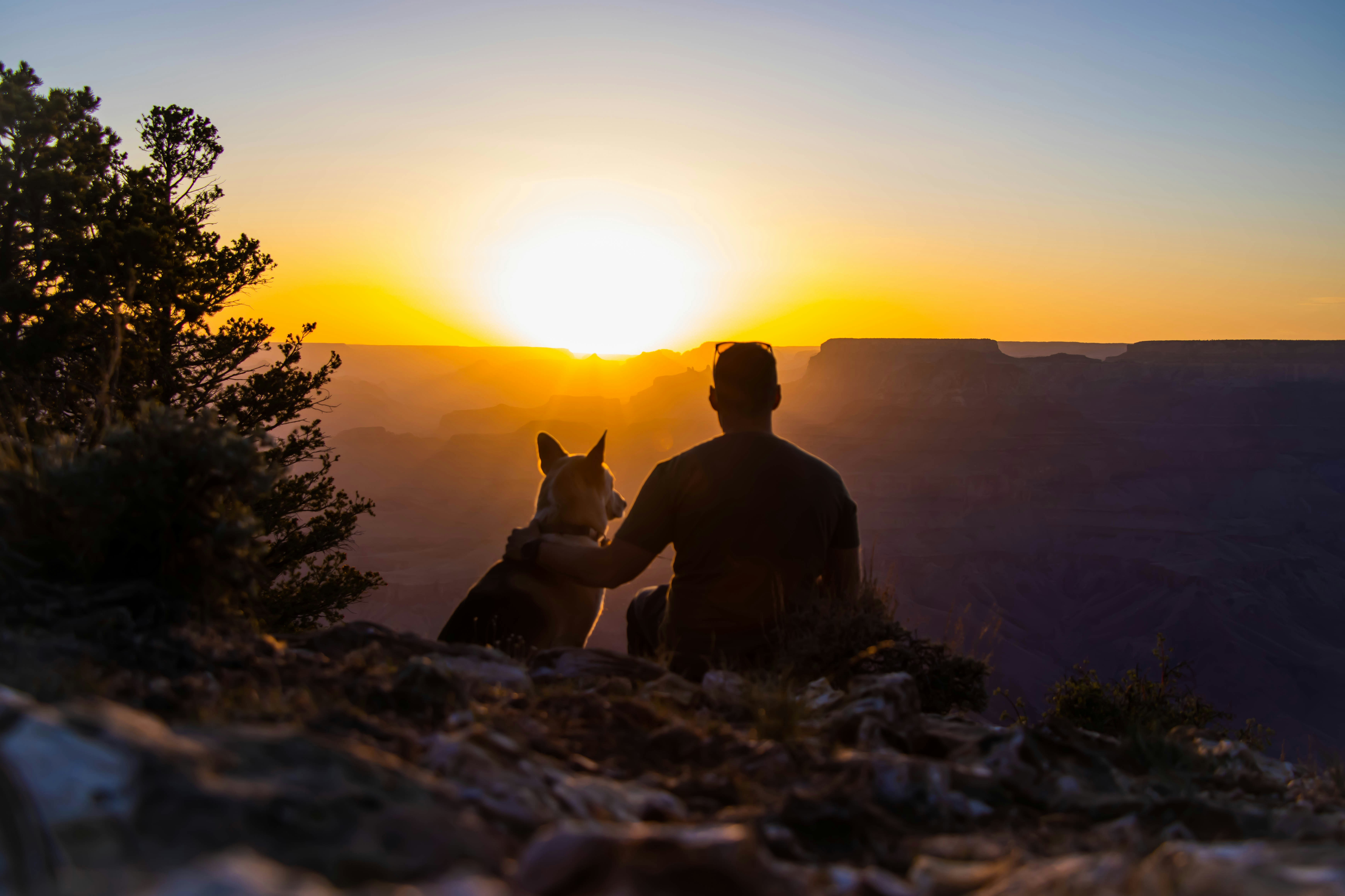 dog national park