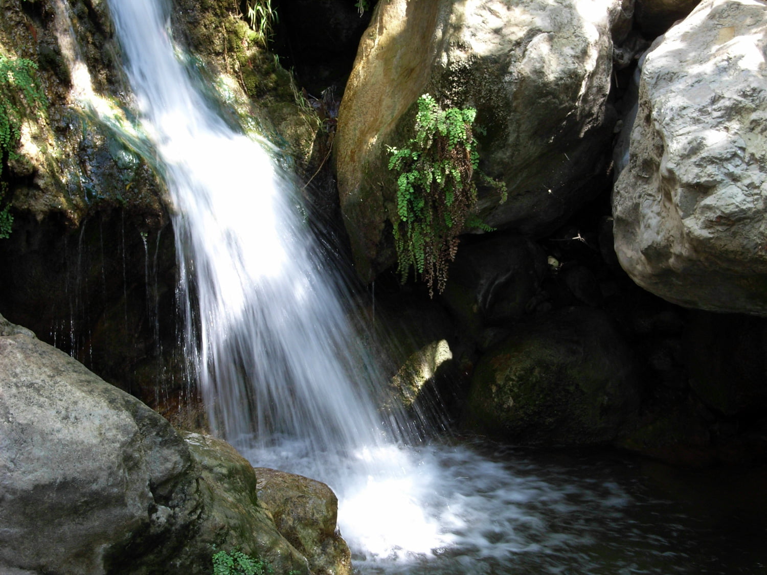 solstice canyon 18 The Best Dog-Friendly Waterfalls and Natural Springs in LA