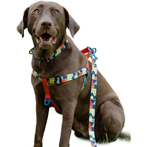 Recycled Woven Dog Harness | United by Blue | Shop EarthHero