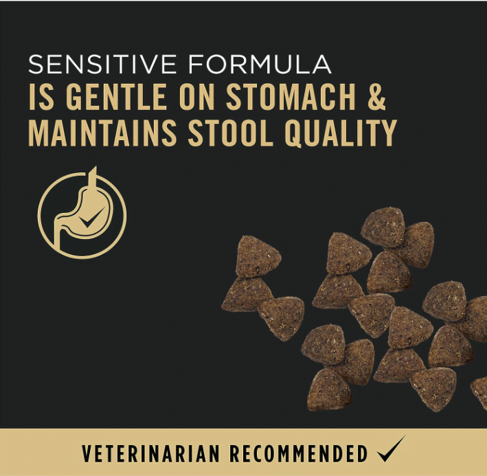 The Ultimate Guide to Purina Pro Plan Sensitive Stomach: Why Your Dog Might Just Thank You in Woofs and Tail Wags