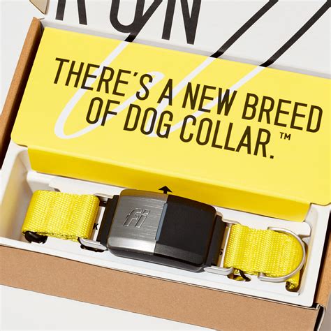 Fi Smart Dog Collar | Store in 2021 | Smart dog, Dog solution, Dog tracker