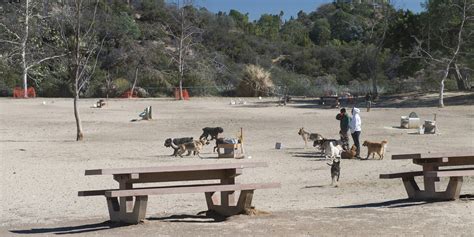 Laurel Canyon Dog Park | Outdoor Project