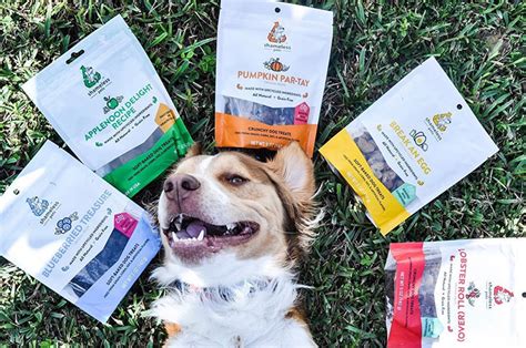 Shameless Pets | Pet Care Innovation