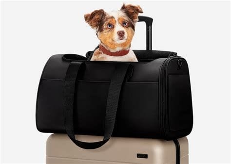 Airline-Approved Pet Carriers in 2023 4 Away Debuts a New Chic Travel Pet Carrier - Dog Insider