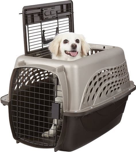 Airline-Approved Pet Carriers in 2023 6 Petmate Two Door Top Load Pet Kennel, Medium Tan - Chewy.com