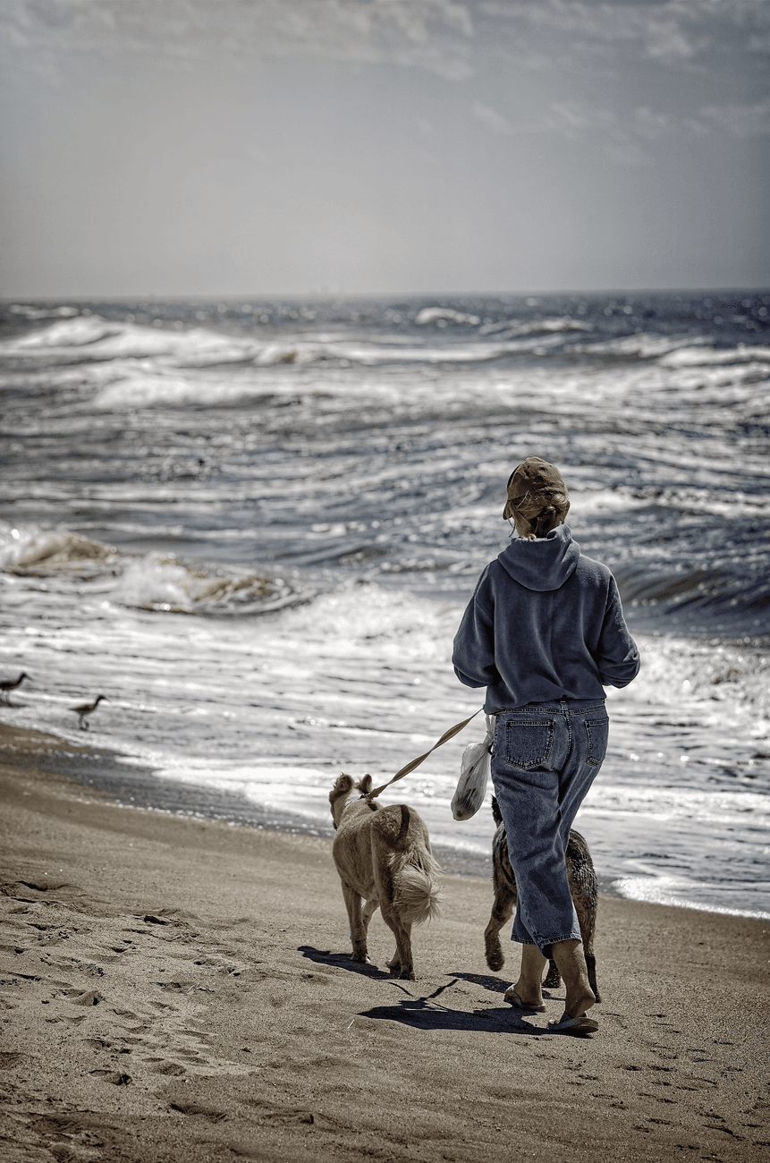 Dog-Friendly Beaches Near Los Angeles: Where You Can (and Can't) Take Your Dog 4 a women running with dogs on a beach